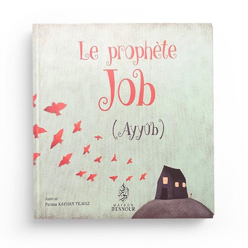 Pack : Histoires des Prophètes (10 livres) - Maison d'Ennour Maison d'Ennour Livre Islam Enfant 9782492027307 Librairie Musulmane Al-imen